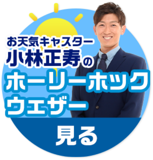 公式 水戸ホーリーホックの試合情報丨5 21 土 いわてグルージャ盛岡