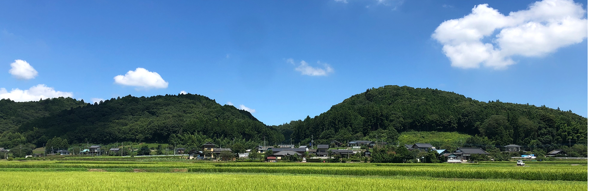 GRASS ROOTS FARMとは