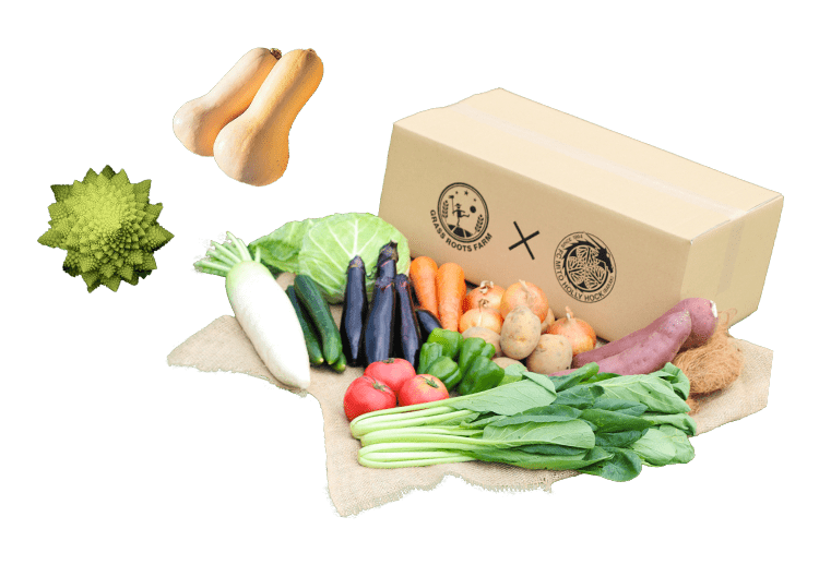GRASS ROOTS FARM BOX 販売中！