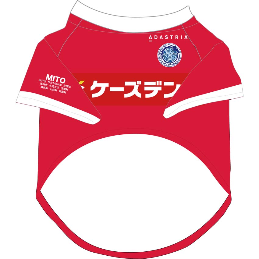 オンラインストア限定「2022ユニフォームデザイングッズ」受注