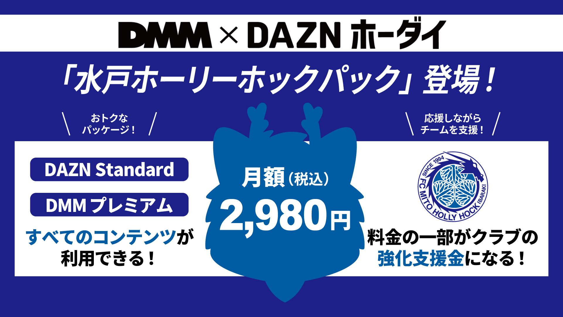 ⚠️購入者が既に決まっています。（PMO様） DMM×DAZNホーダイ」水戸ホーリーホックサポーター向けパック入会受付