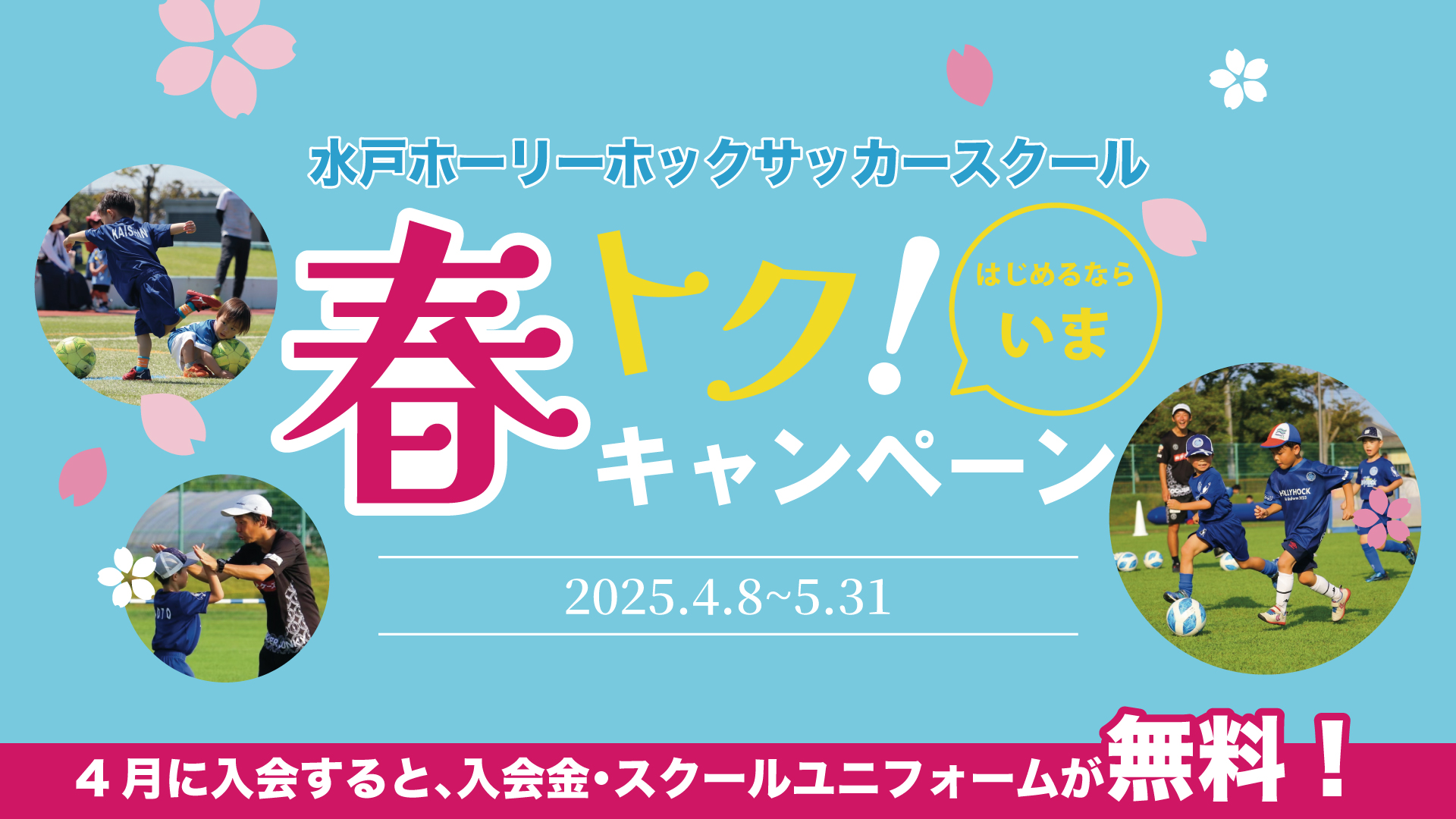 ポーリーポケット　プールのある学校 ポーリーポケット プールのある学校